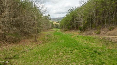 Tiny photo for 8651 Tazewell Highway, Sneedville, TN 37869 (MLS # 9978415)