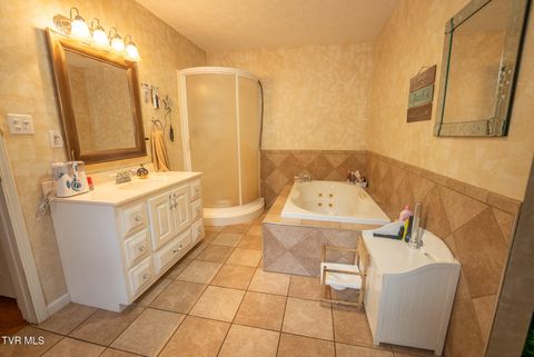 Tiny photo for 8651 Tazewell Highway, Sneedville, TN 37869 (MLS # 9978415)