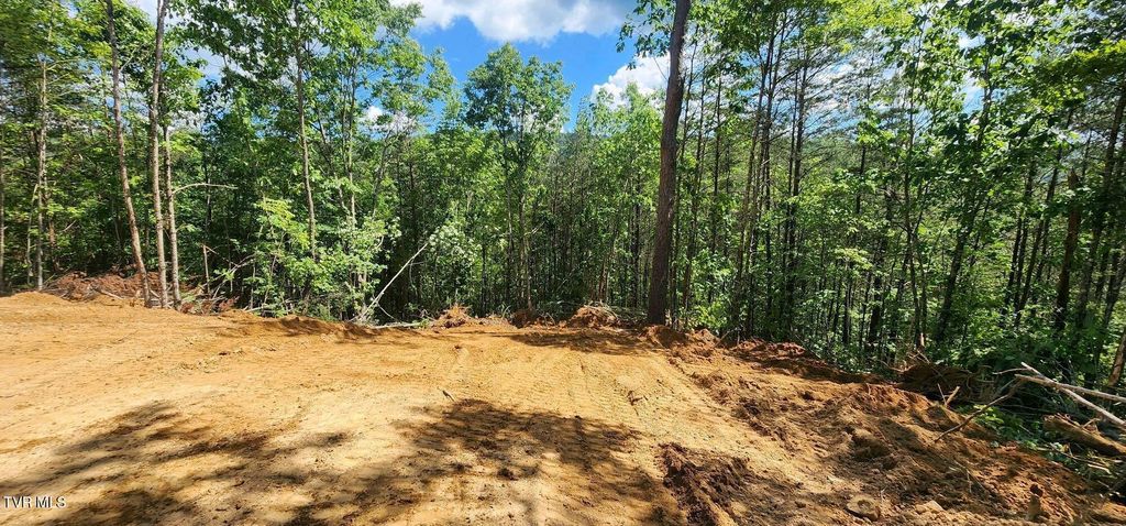 Photo of 371 Pressmens Home Road, Rogersville, TN 37857 (MLS # 9992413)