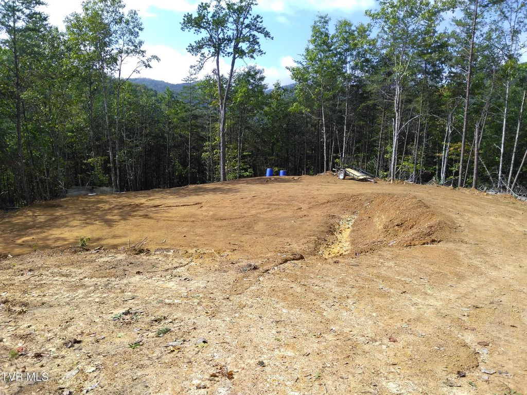 Photo of 371 Pressmens Home Road, Rogersville, TN 37857 (MLS # 9992413)