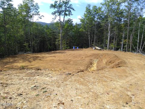 Vacant Land For Sale - 371 Pressmens Home Road<br/> Rogersville, TN 37857