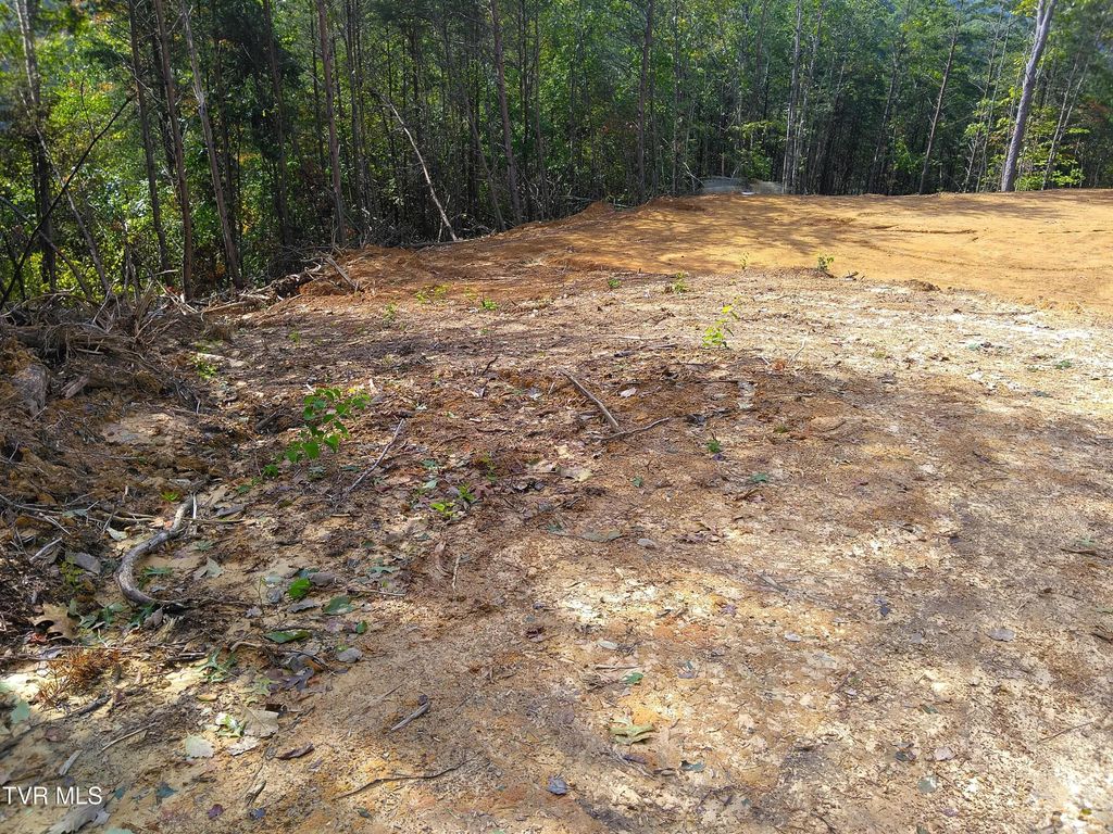 Photo of 371 Pressmens Home Road, Rogersville, TN 37857 (MLS # 9992413)