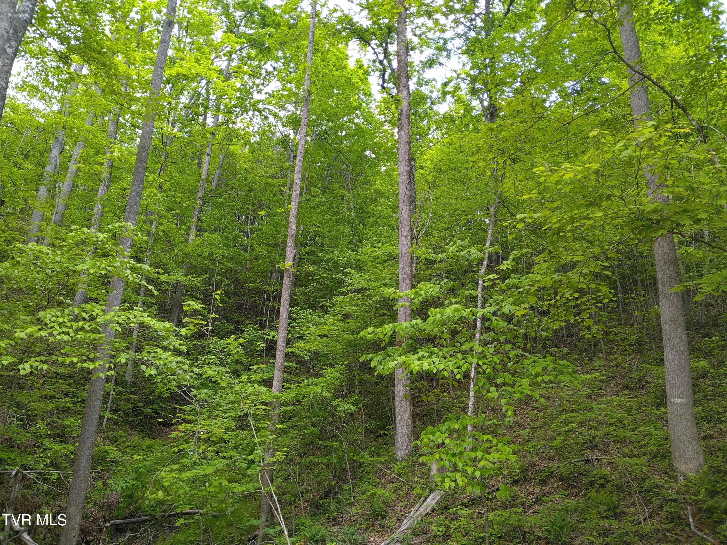 371 Pressmens Home Road