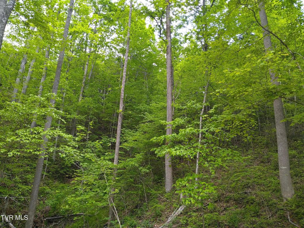 Photo of 371 Pressmens Home Road, Rogersville, TN 37857 (MLS # 9992413)