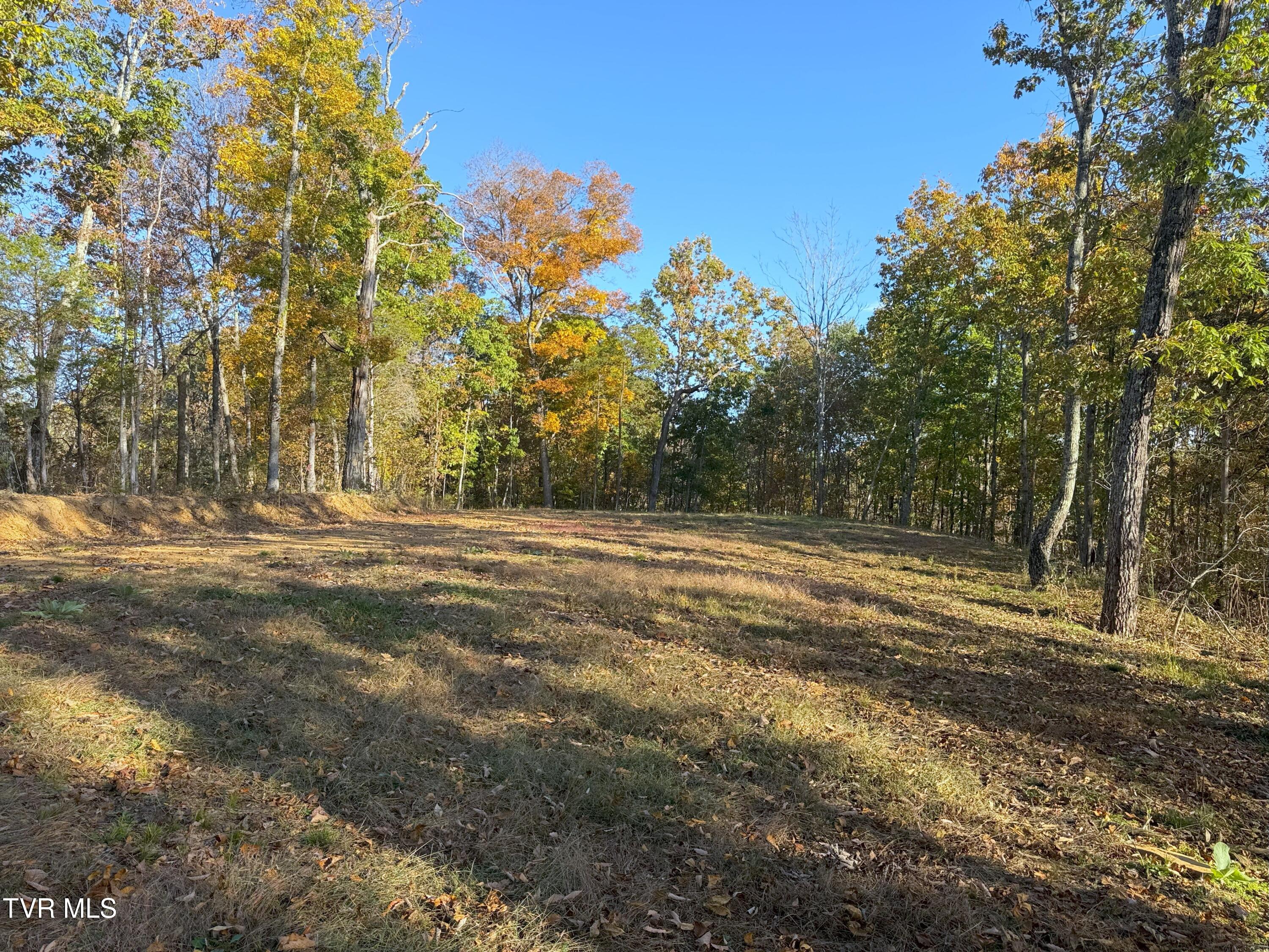 Tract 9 Topaz Way, Parrottsville, Tennessee image 5