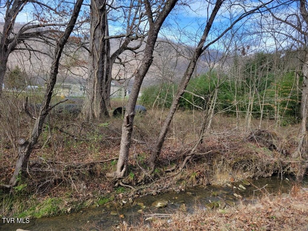 Photo of Tbd Shawnee Avenue, Big Stone Gap, VA 24219 (MLS # 9991879)
