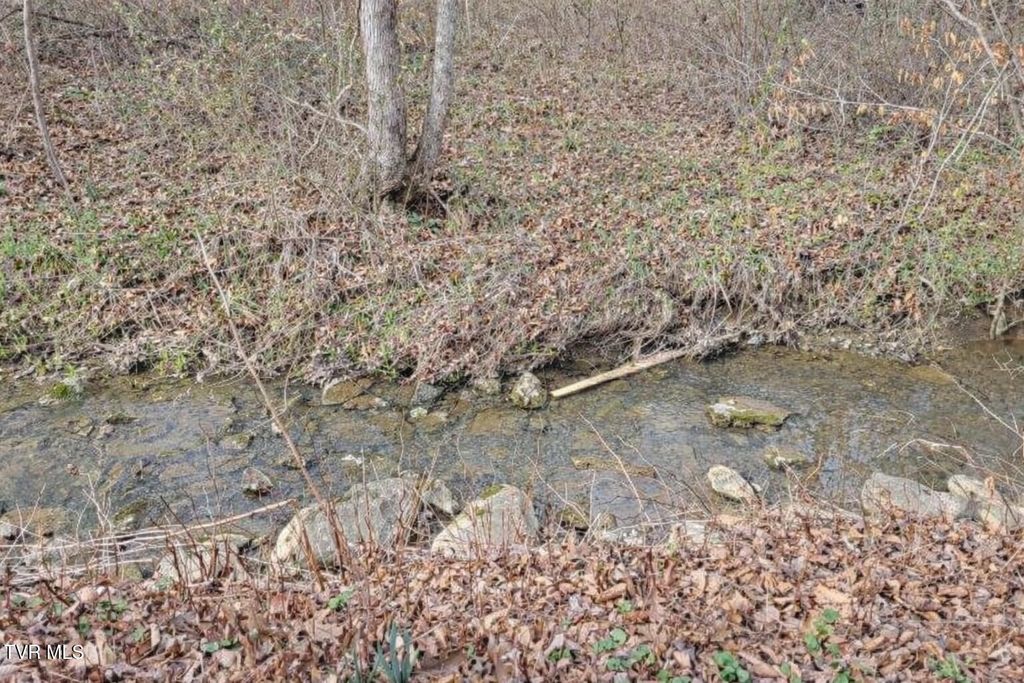 Photo of Tbd Shawnee Avenue, Big Stone Gap, VA 24219 (MLS # 9991879)