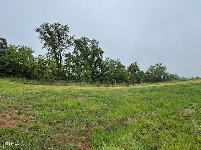 172 Rolling Hills Drive, Church Hill, Tennessee image 28
