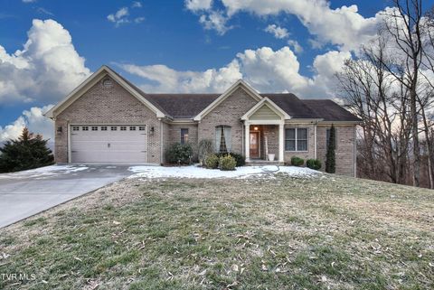 Photo of 2325 Colonial View Road, Kingsport, TN 37663 (MLS # 9991405)