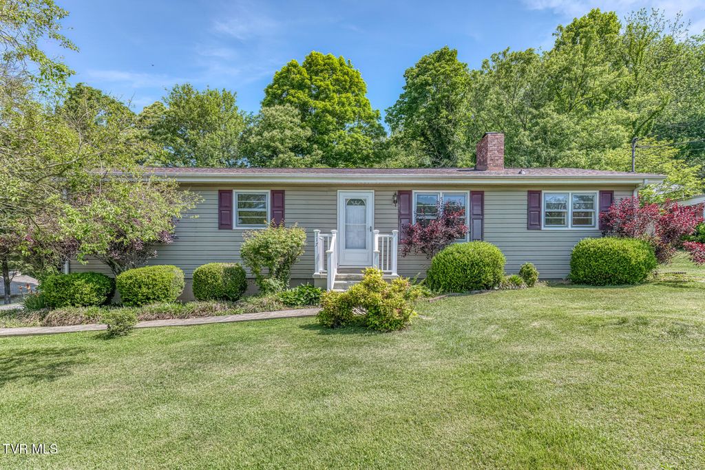 Photo of 117 Reed Road, Bristol, TN 37620 (MLS # 9995342)