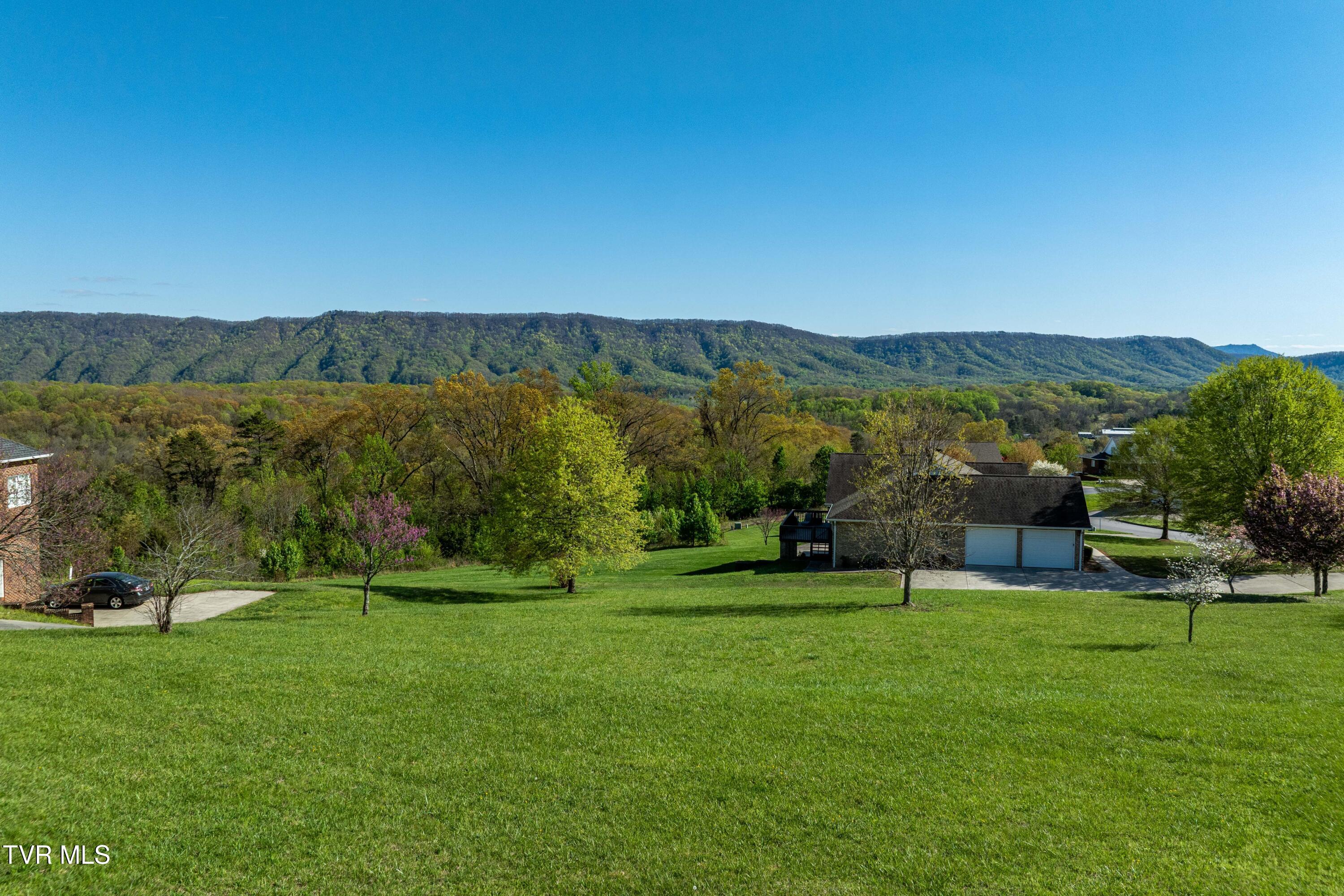 307 Carrie Circle, Mount Carmel, Tennessee image 14