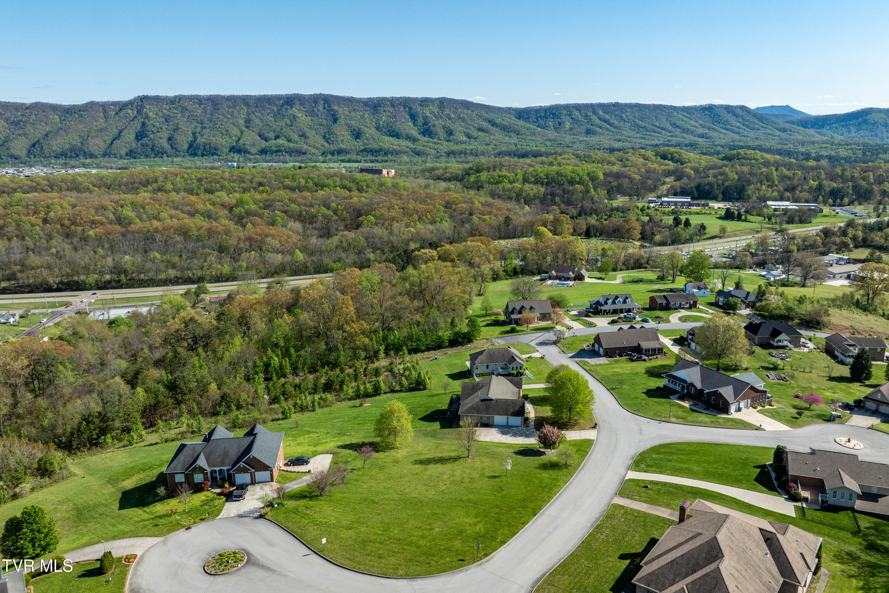 307 Carrie Circle, Mount Carmel, Tennessee image 1