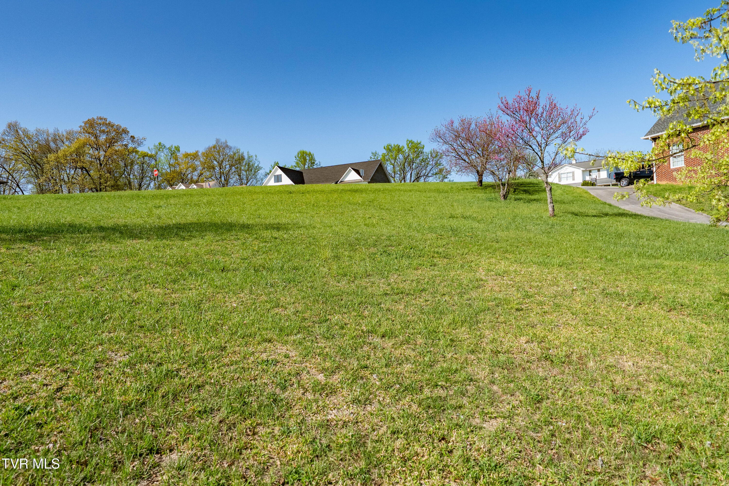 307 Carrie Circle, Mount Carmel, Tennessee image 28