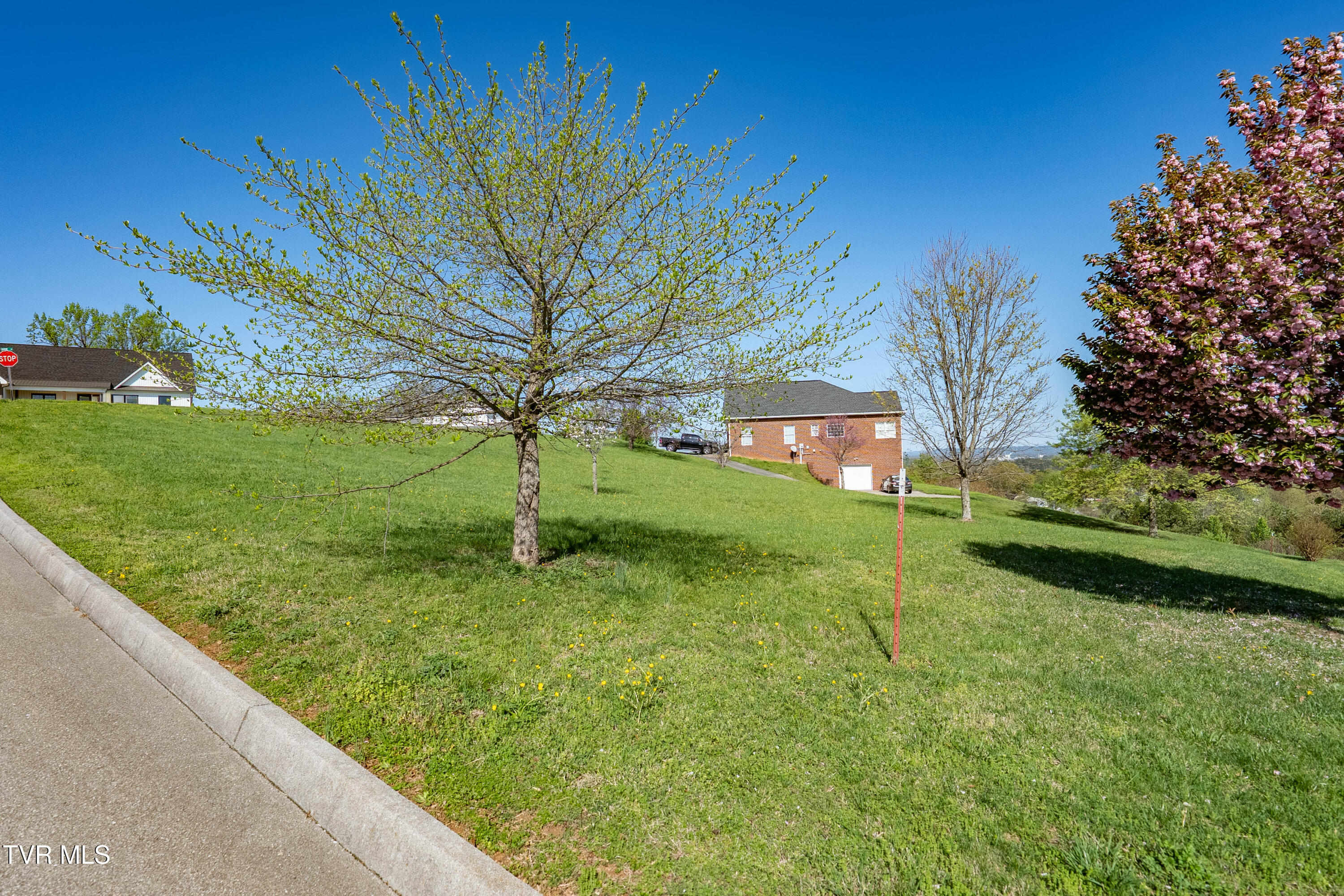 307 Carrie Circle, Mount Carmel, Tennessee image 26
