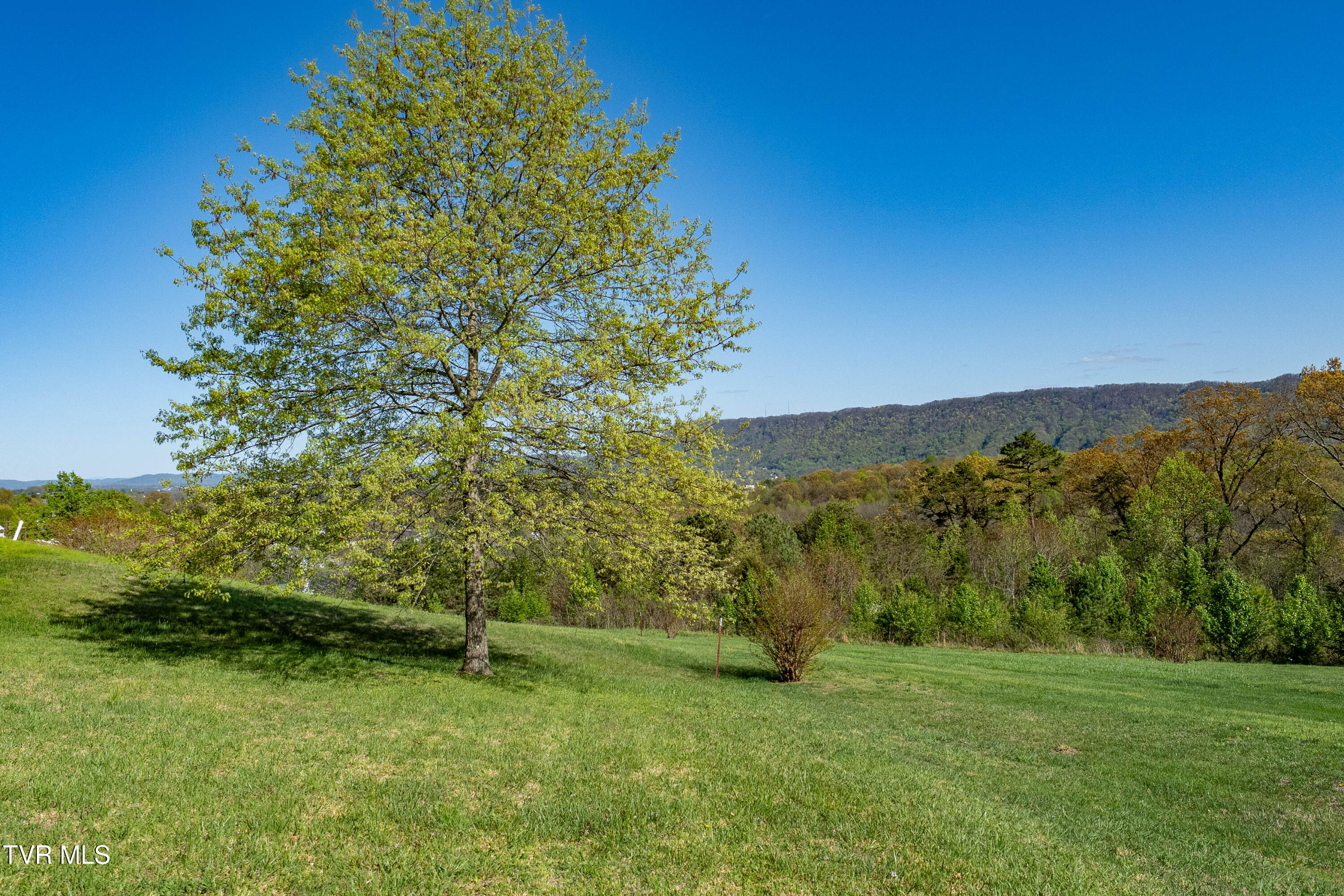 307 Carrie Circle, Mount Carmel, Tennessee image 27