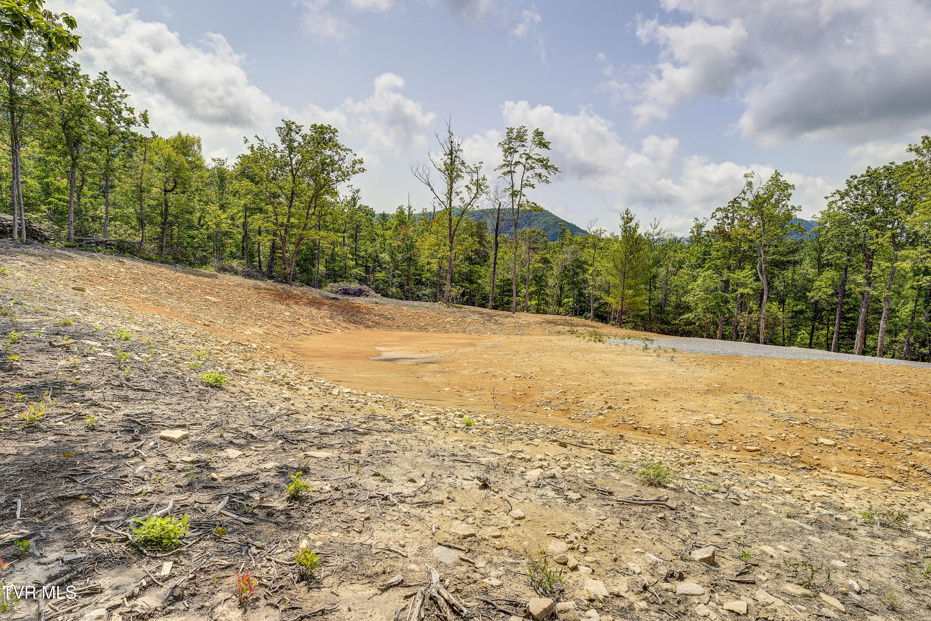 2540 Shelton Mission Road, Greeneville, Tennessee image 18