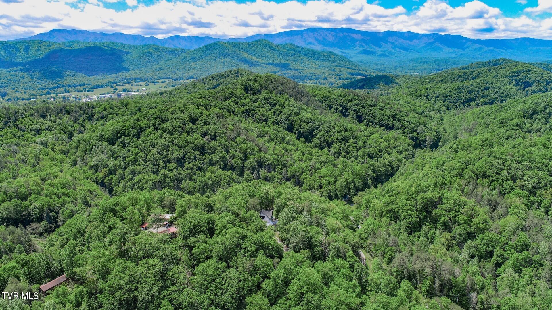 2975 Arch Rd, Cosby, Tennessee image 45