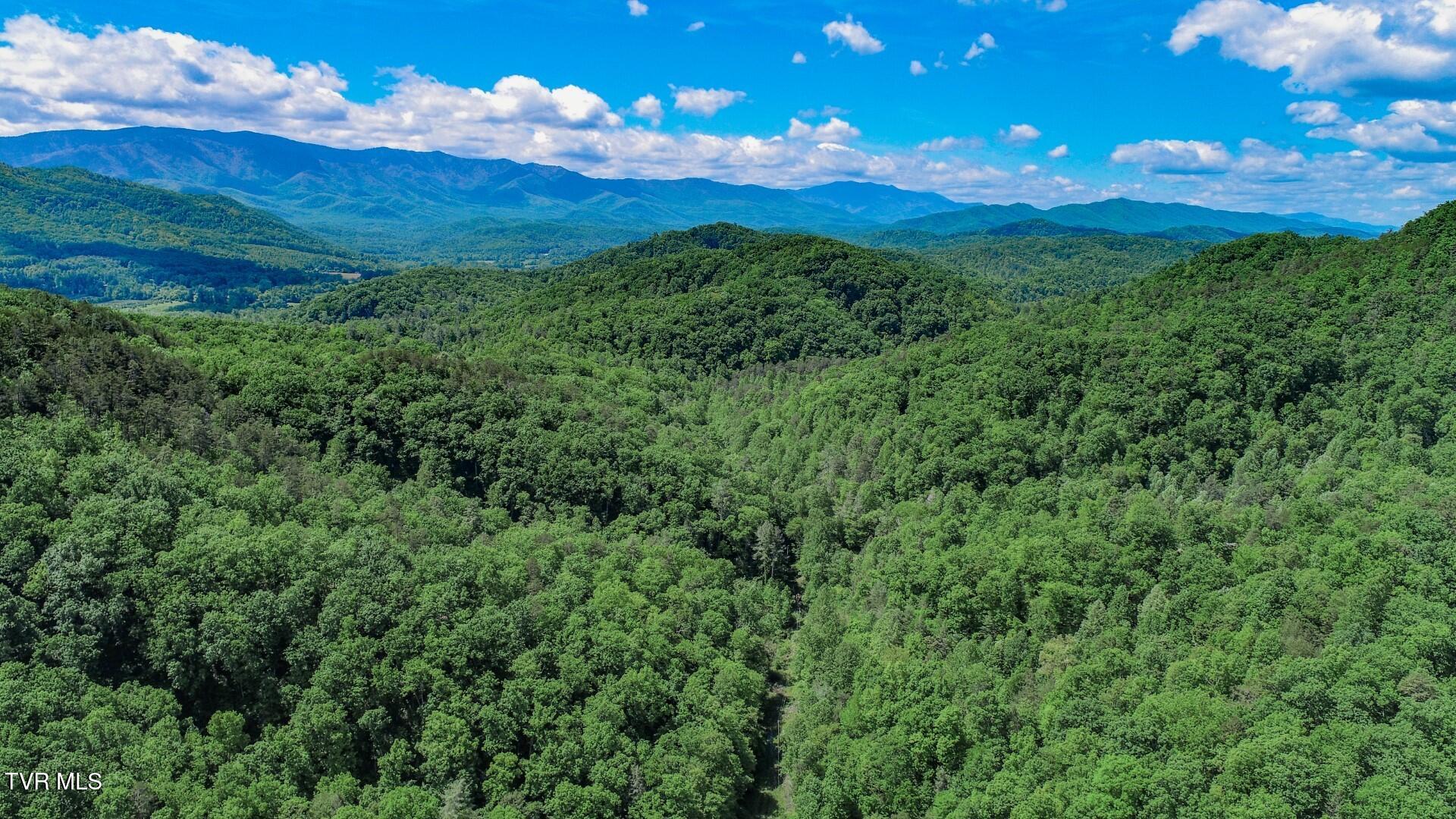 2975 Arch Rd, Cosby, Tennessee image 49