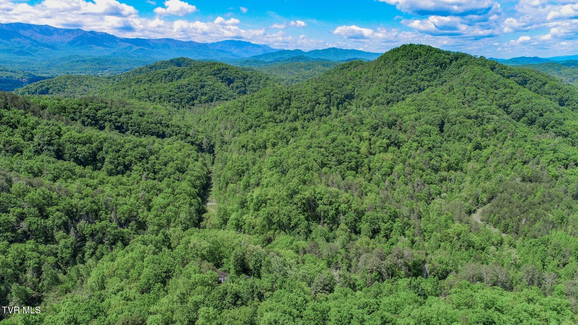 2975 Arch Rd, Cosby, Tennessee image 48