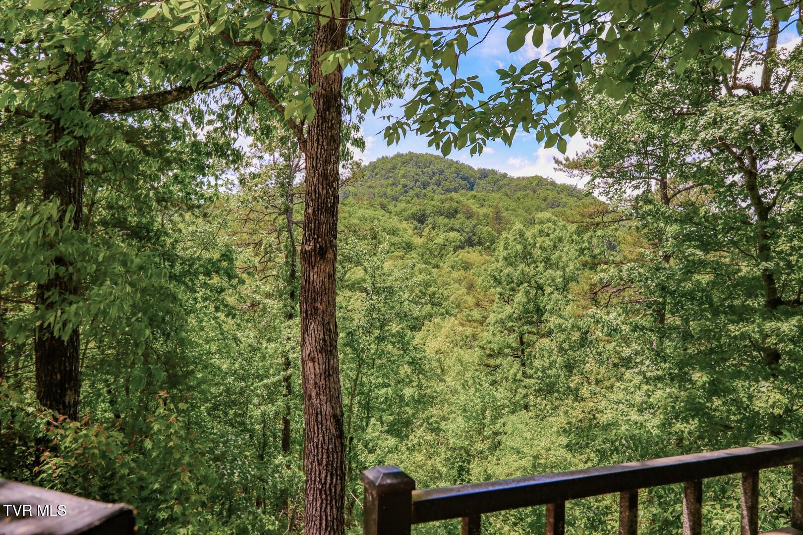 2975 Arch Rd, Cosby, Tennessee image 26