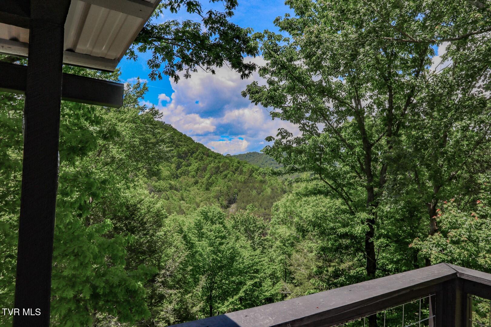 2975 Arch Rd, Cosby, Tennessee image 27