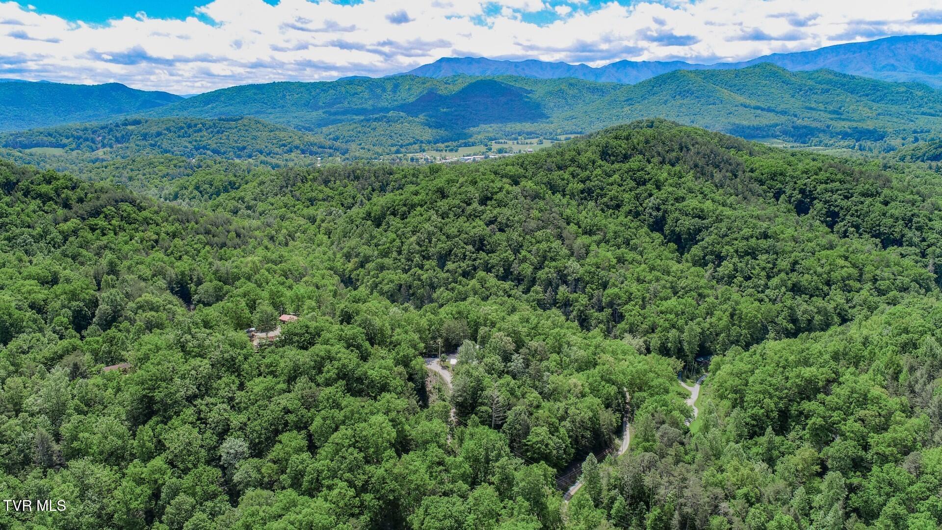 2975 Arch Rd, Cosby, Tennessee image 44