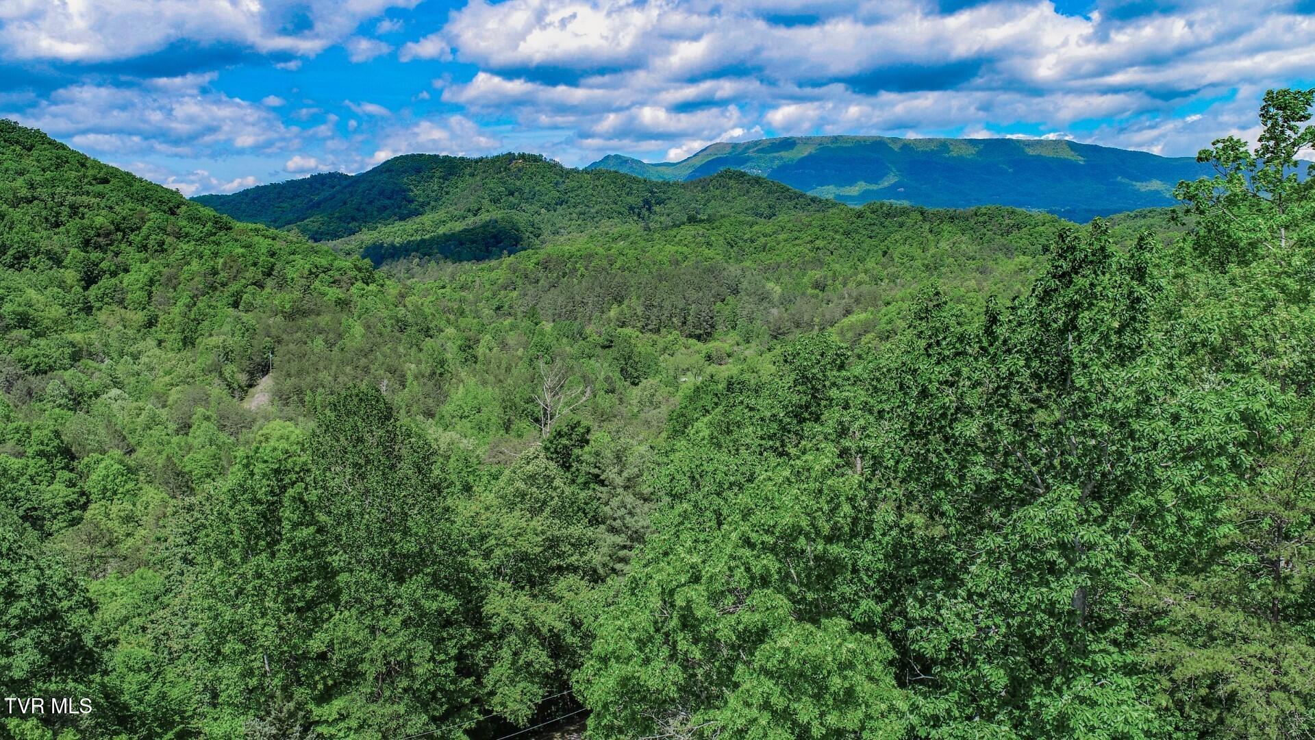 2975 Arch Rd, Cosby, Tennessee image 50