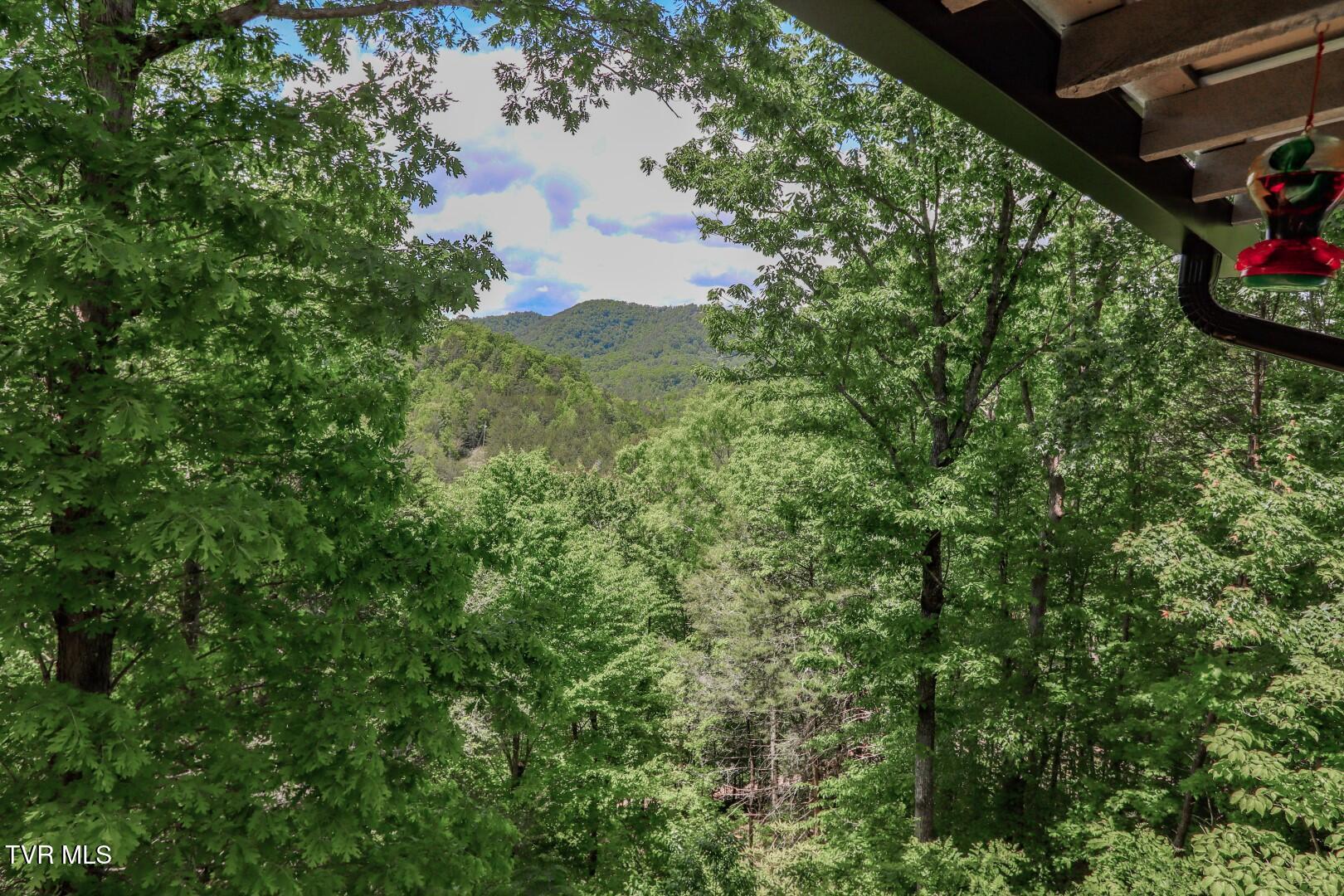 2975 Arch Rd, Cosby, Tennessee image 28