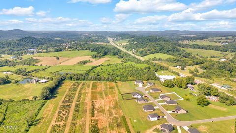 Tiny photo for 6200 Bristol Highway, Piney Flats, TN 37686 (MLS # 9985902)