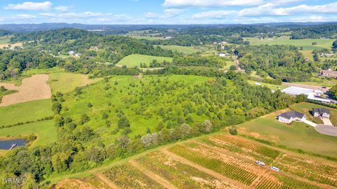 Tiny photo for 6200 Bristol Highway, Piney Flats, TN 37686 (MLS # 9985902)