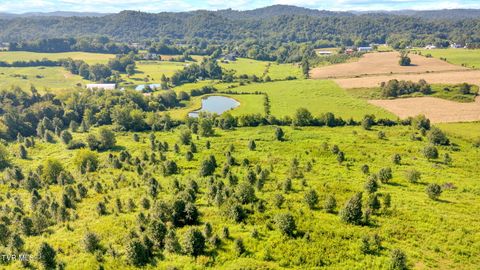 Tiny photo for 6200 Bristol Highway, Piney Flats, TN 37686 (MLS # 9985902)