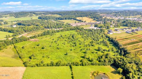 Tiny photo for 6200 Bristol Highway, Piney Flats, TN 37686 (MLS # 9985902)
