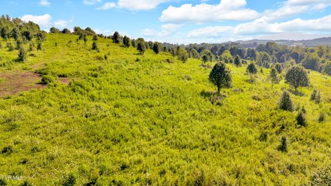 Tiny photo for 6200 Bristol Highway, Piney Flats, TN 37686 (MLS # 9985902)