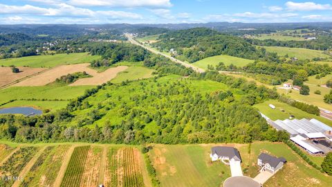 Tiny photo for 6200 Bristol Highway, Piney Flats, TN 37686 (MLS # 9985902)