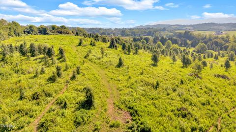 Tiny photo for 6200 Bristol Highway, Piney Flats, TN 37686 (MLS # 9985902)