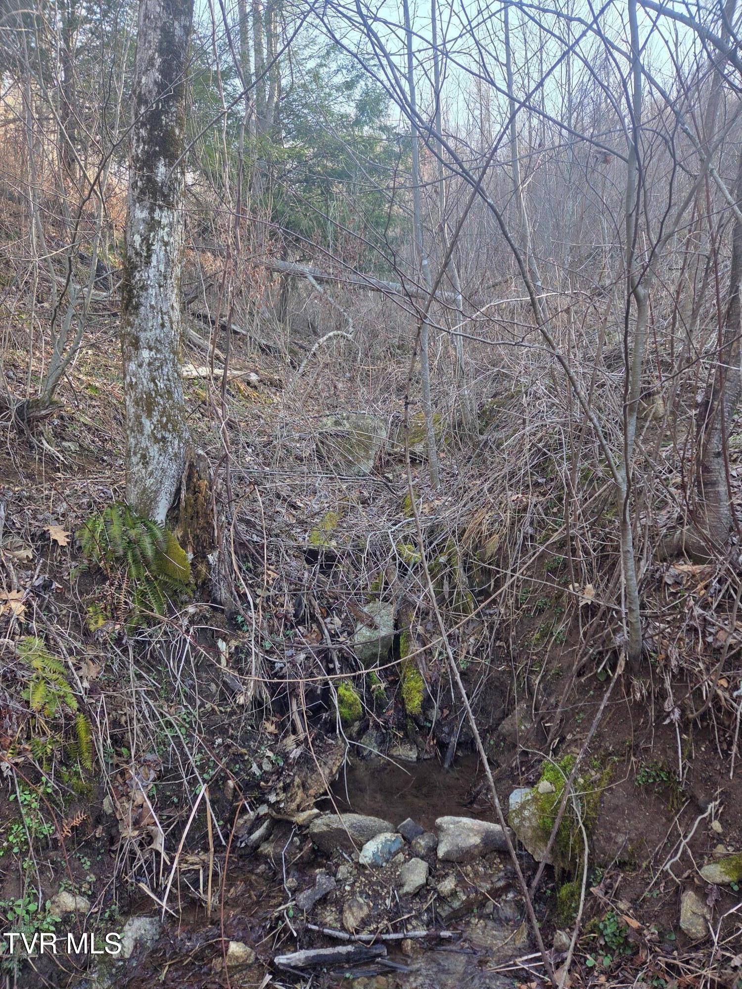 T.B.D Tiger Creek Road