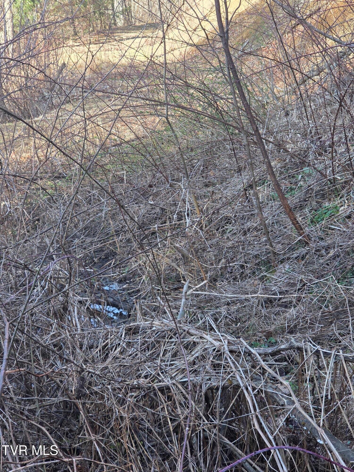 T.B.D Tiger Creek Road