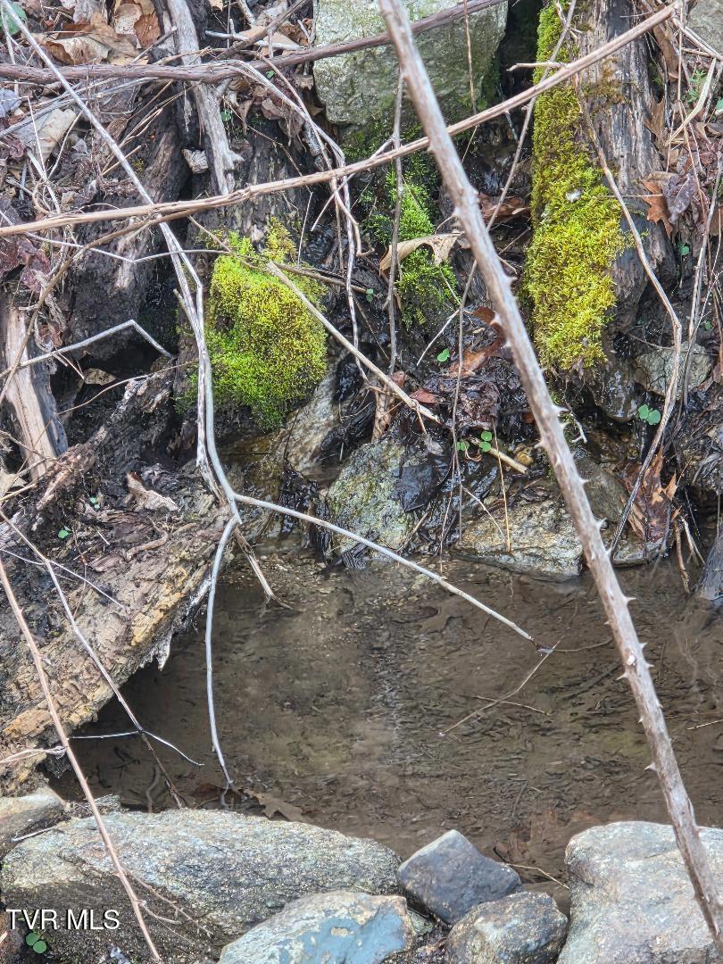 T.B.D Tiger Creek Road