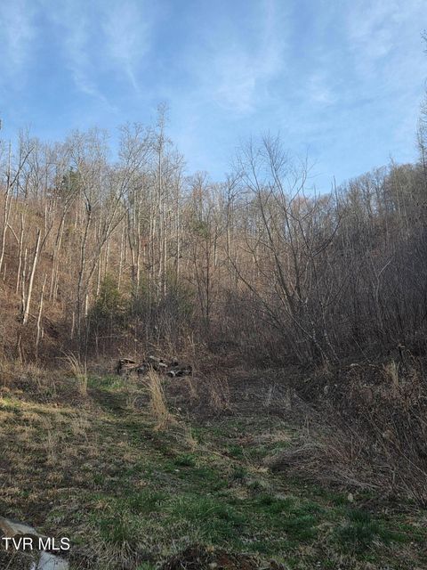 T.B.D Tiger Creek Road Roan Mountain TN 37687