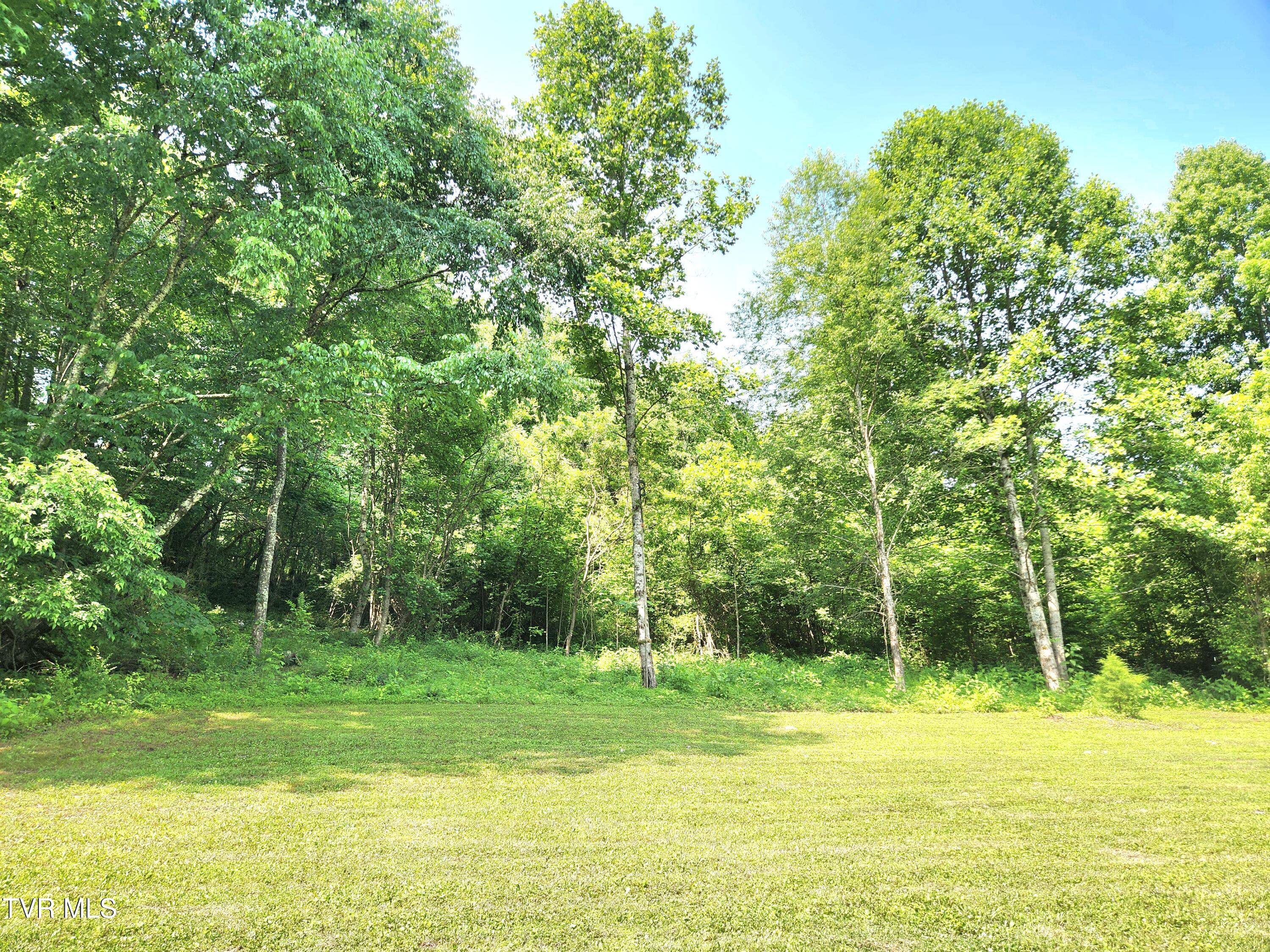 2428 Middle Creek Road, Afton, Tennessee image 18