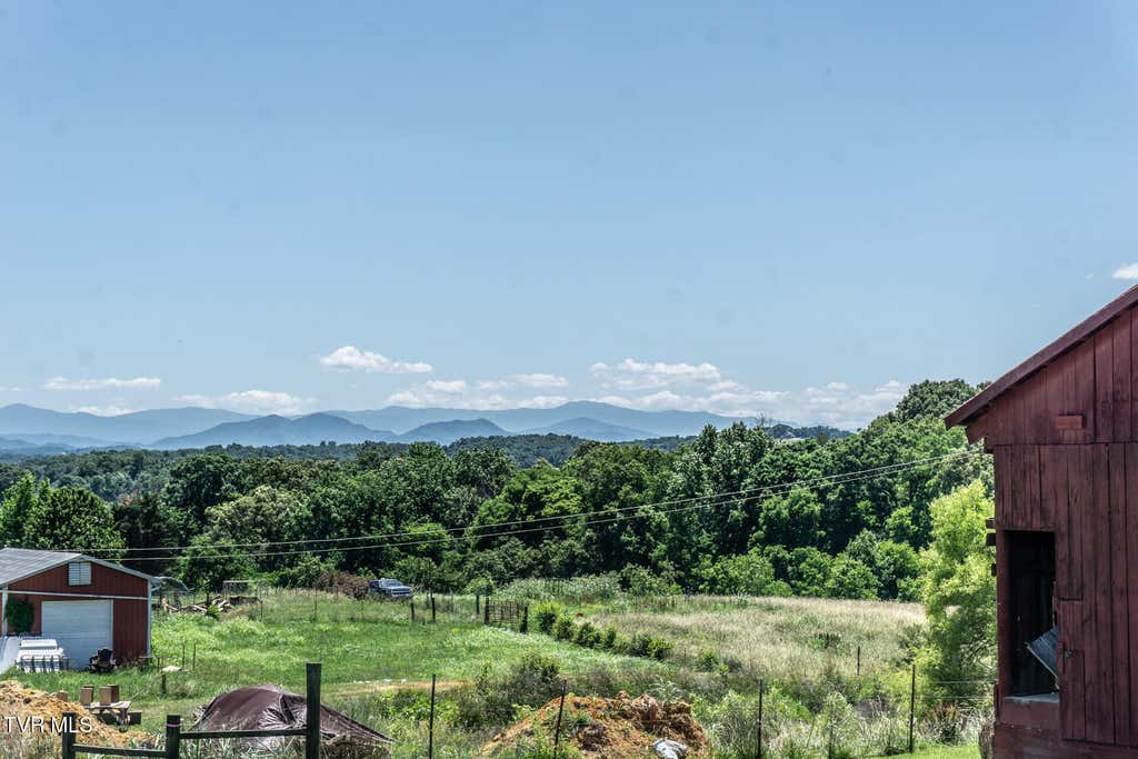 Photo of 2365 Bright Hope Rd. RD, Greeneville, TN 37743 (MLS # 9996401)