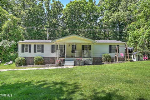Homes For Sale - 200 Dentons Lane<br/> Bristol, TN 37620