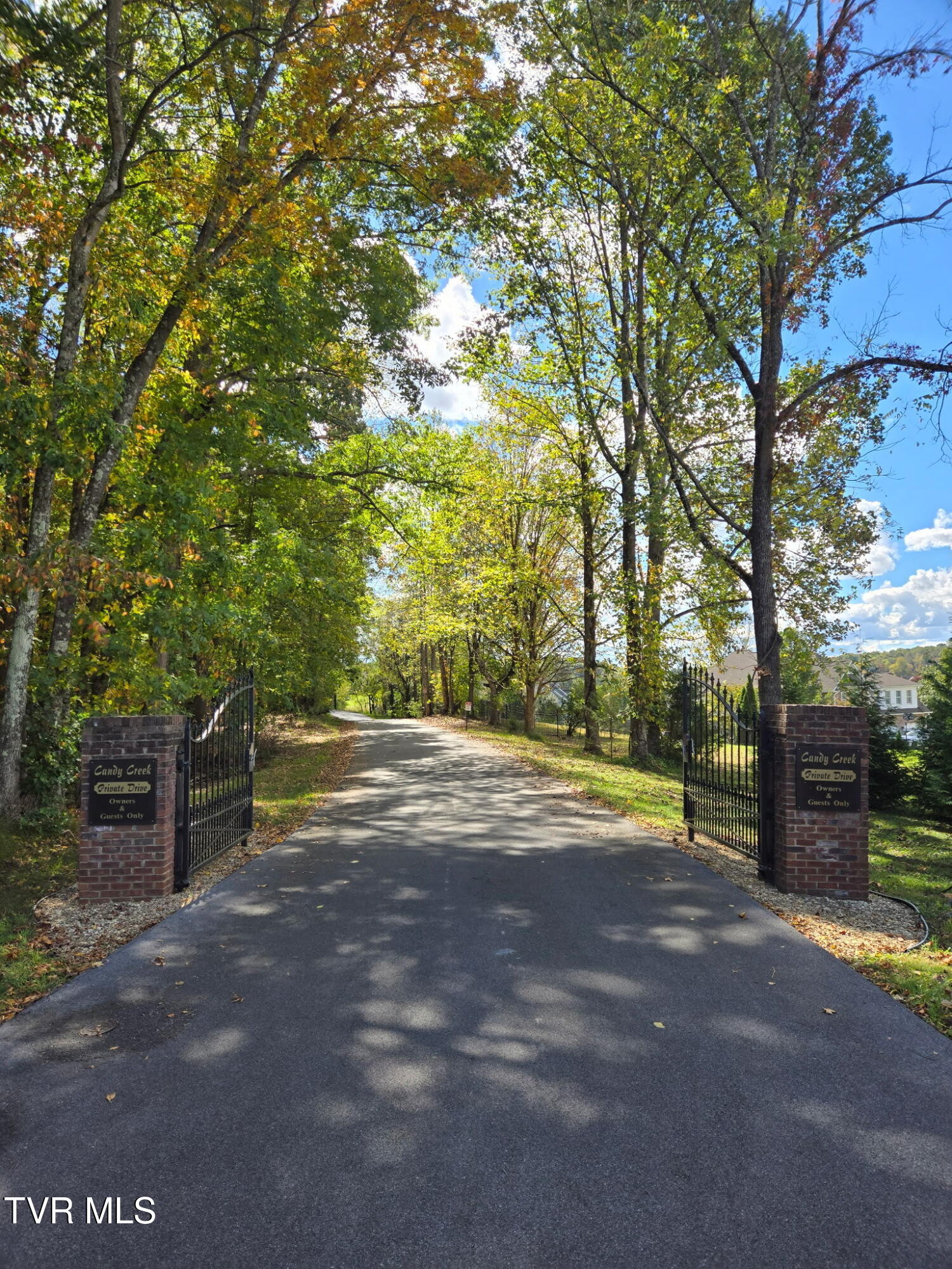 290 Candy Creek Private Drive