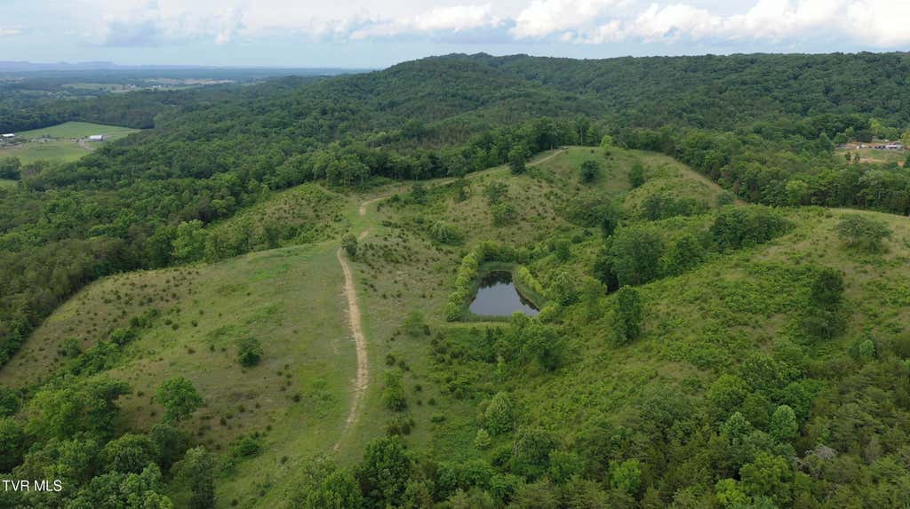 Photo of 3456 Warrensburg Road, Whitesburg, TN 37891 (MLS # 9990042)