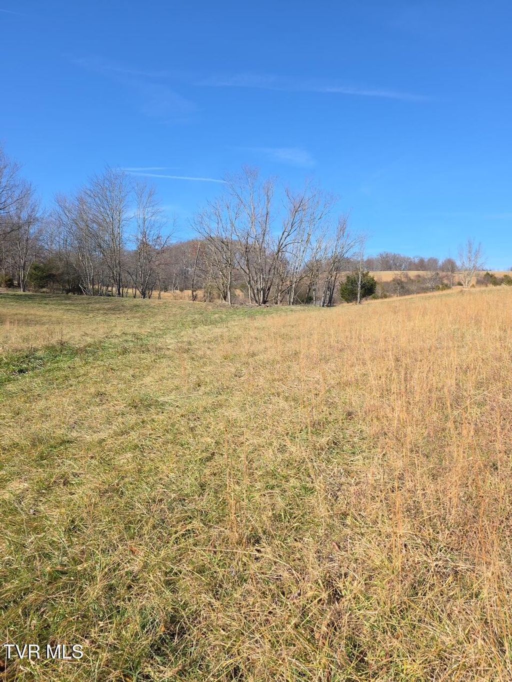 Photo of 2570 Shiloh Road #2, Greeneville, TN 37745 (MLS # 9989465)