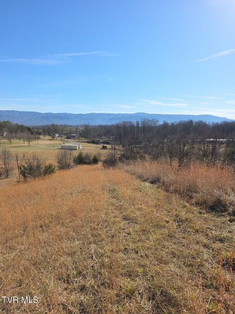 Vacant Land For Sale - 2570 Shiloh Road #2<br/> Greeneville, TN 37745