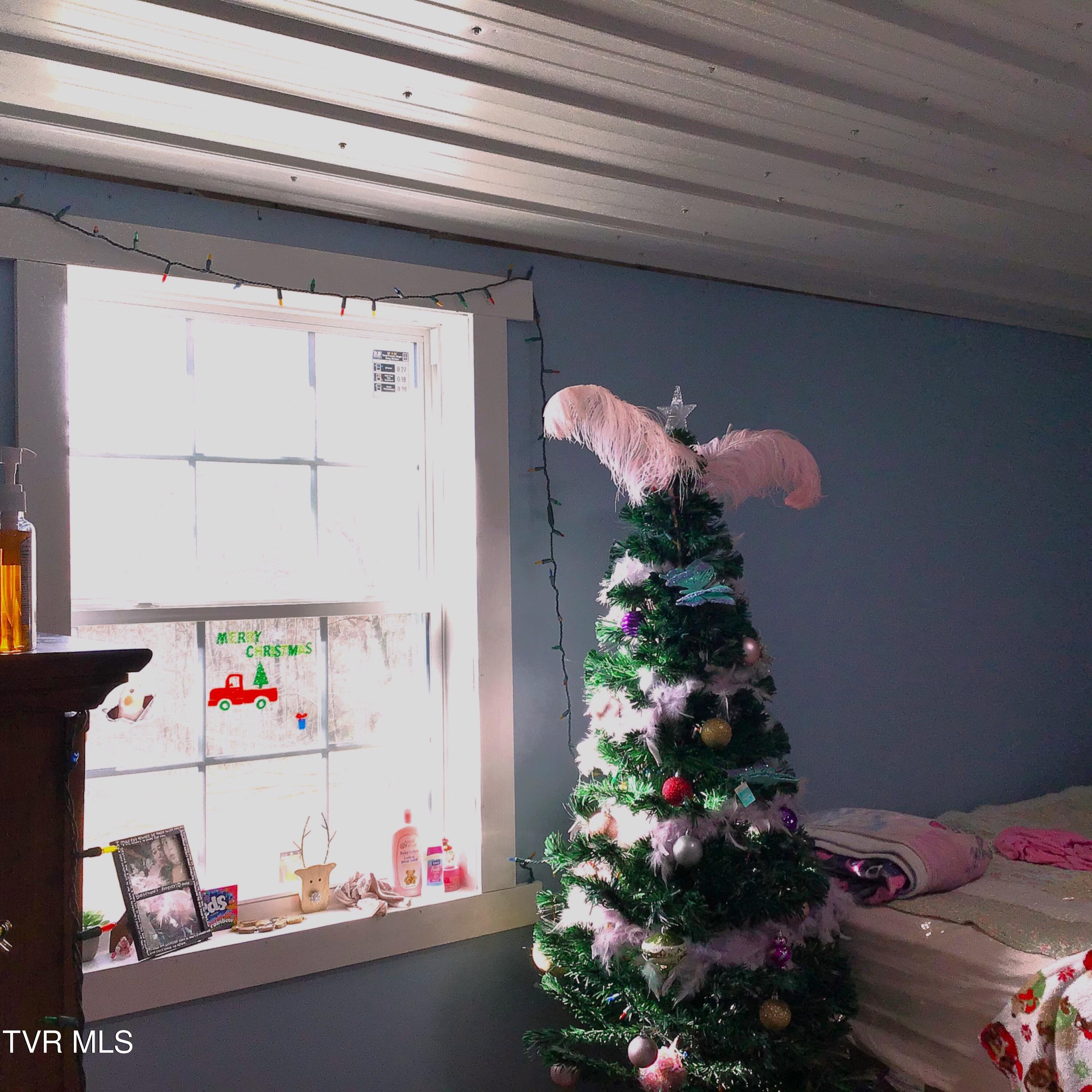 188 Cooney Hollow Road, Jonesville, Virginia image 38