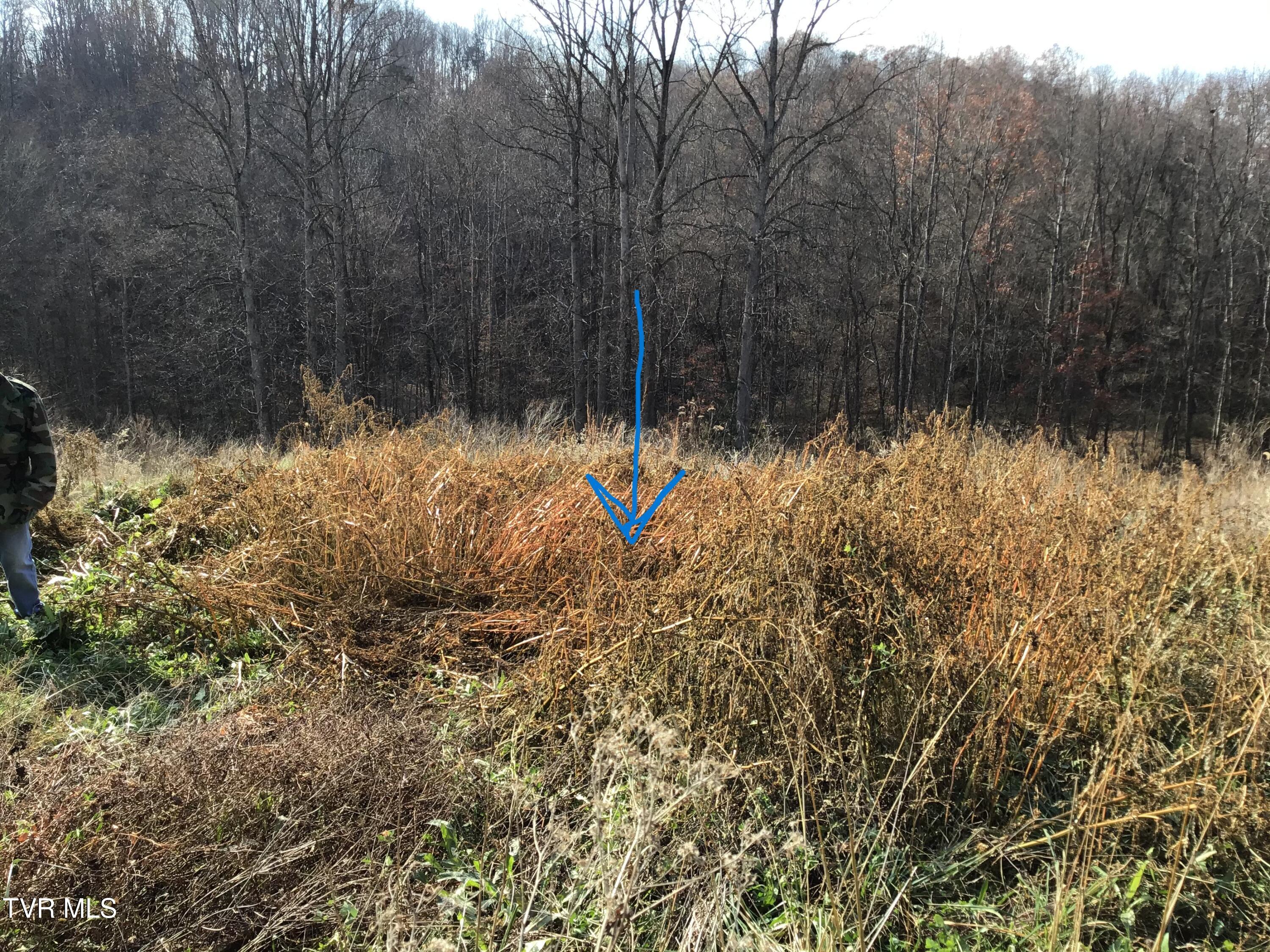 188 Cooney Hollow Road, Jonesville, Virginia image 14