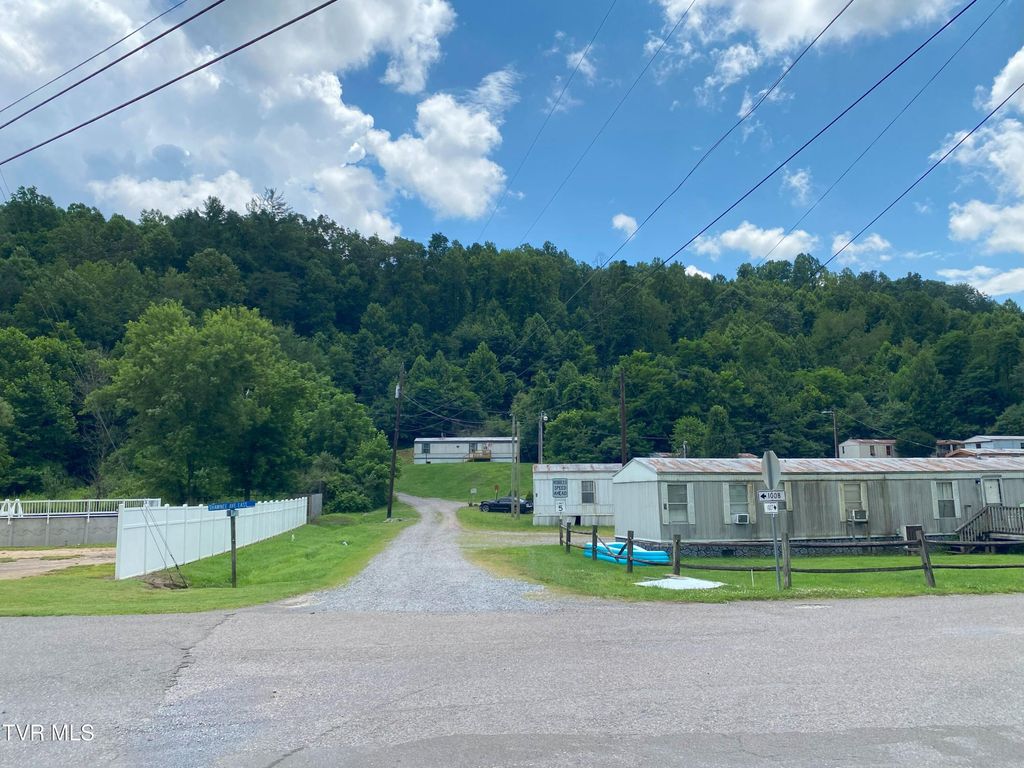 Photo of 403 26th Street, Big Stone Gap, VA 24219 (MLS # 9982917)