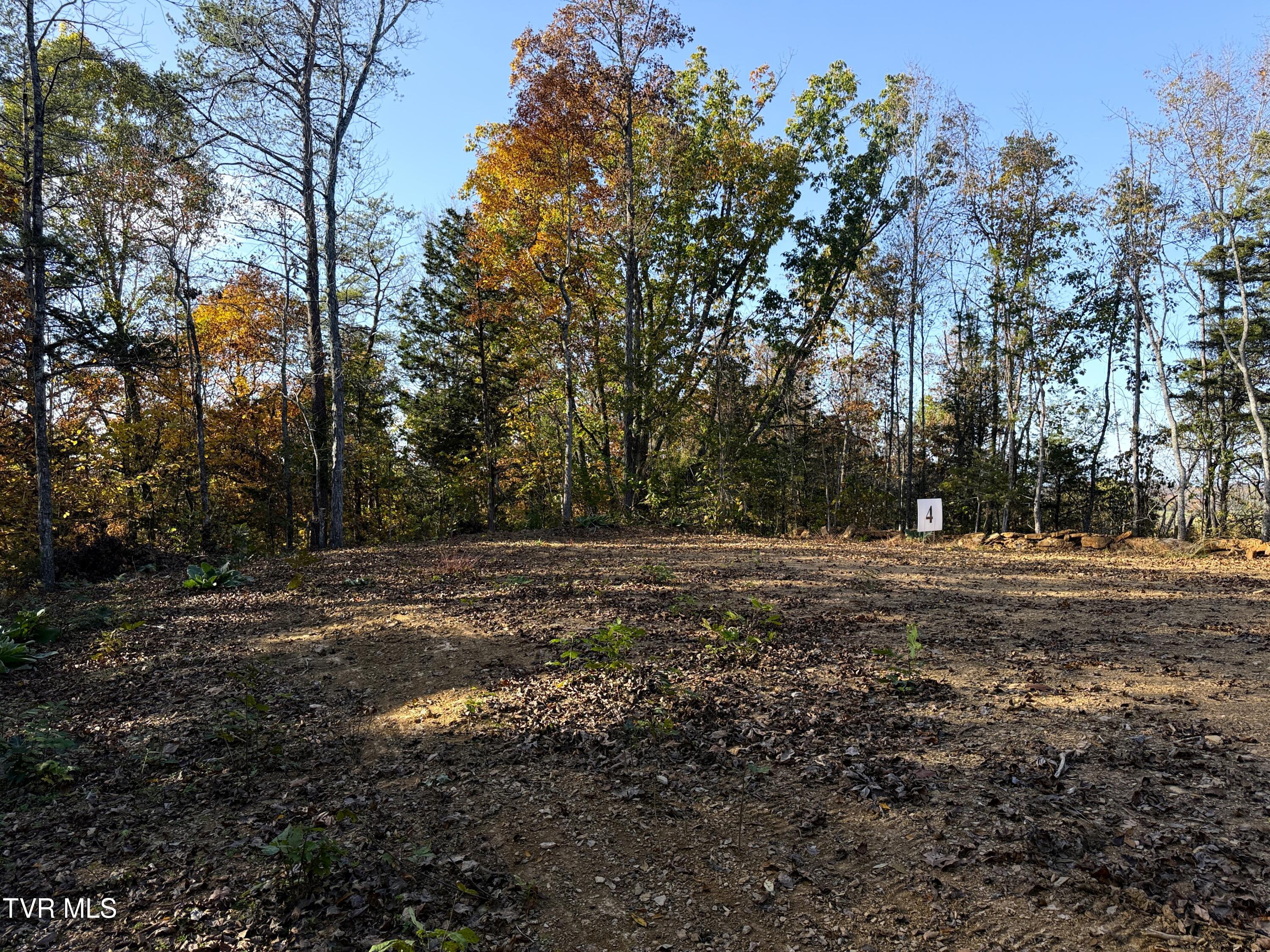Tract 4 Topaz Way, Parrottsville, Tennessee image 6